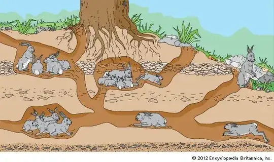 rabbit warren illustration