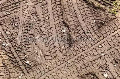 Tyre tracks in mud